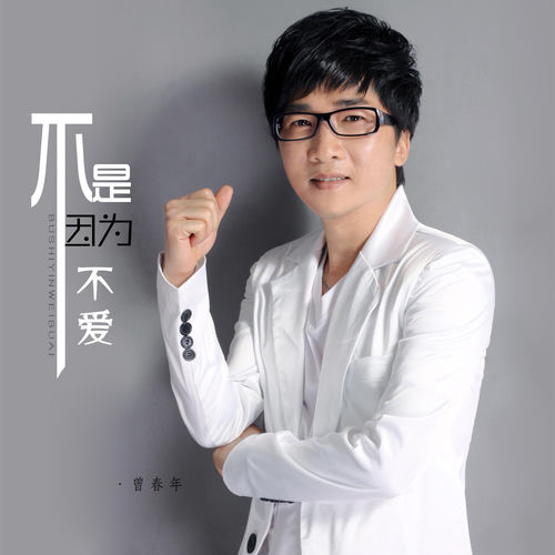 不是因为不爱 (DJ默涵版)