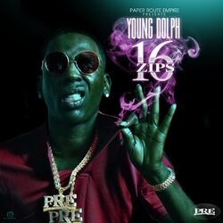 Cover of 16 Zips