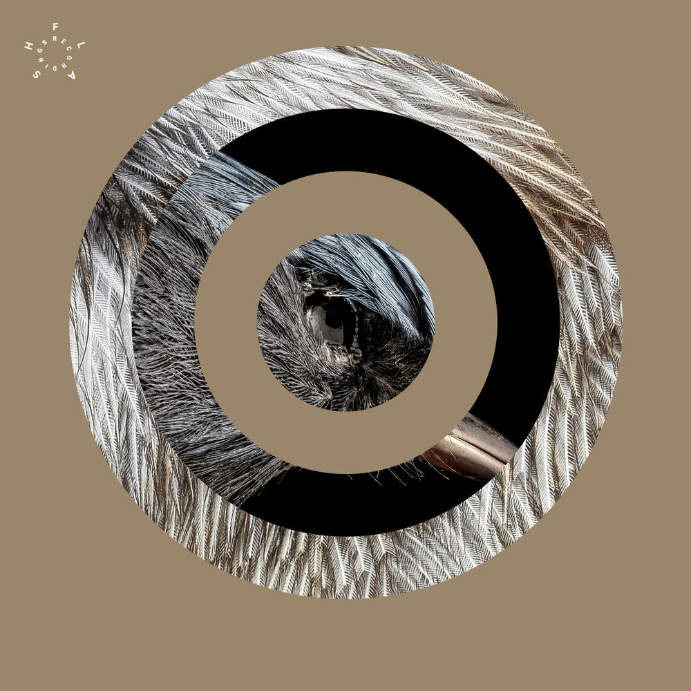 Picture of Tensor EP