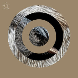Cover of Tensor EP