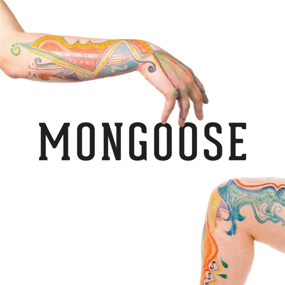Picture of Mongoose