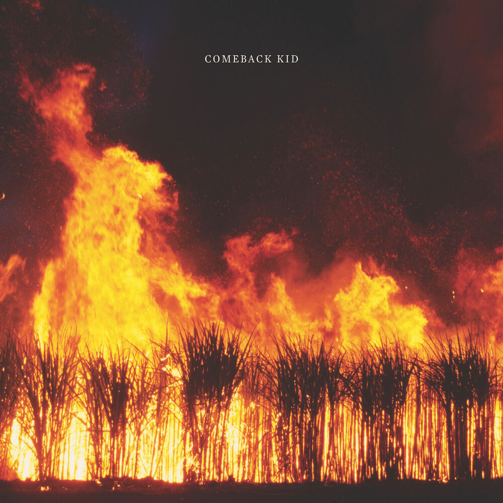 Picture of Comeback Kid