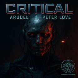 Cover of Critical by undefined