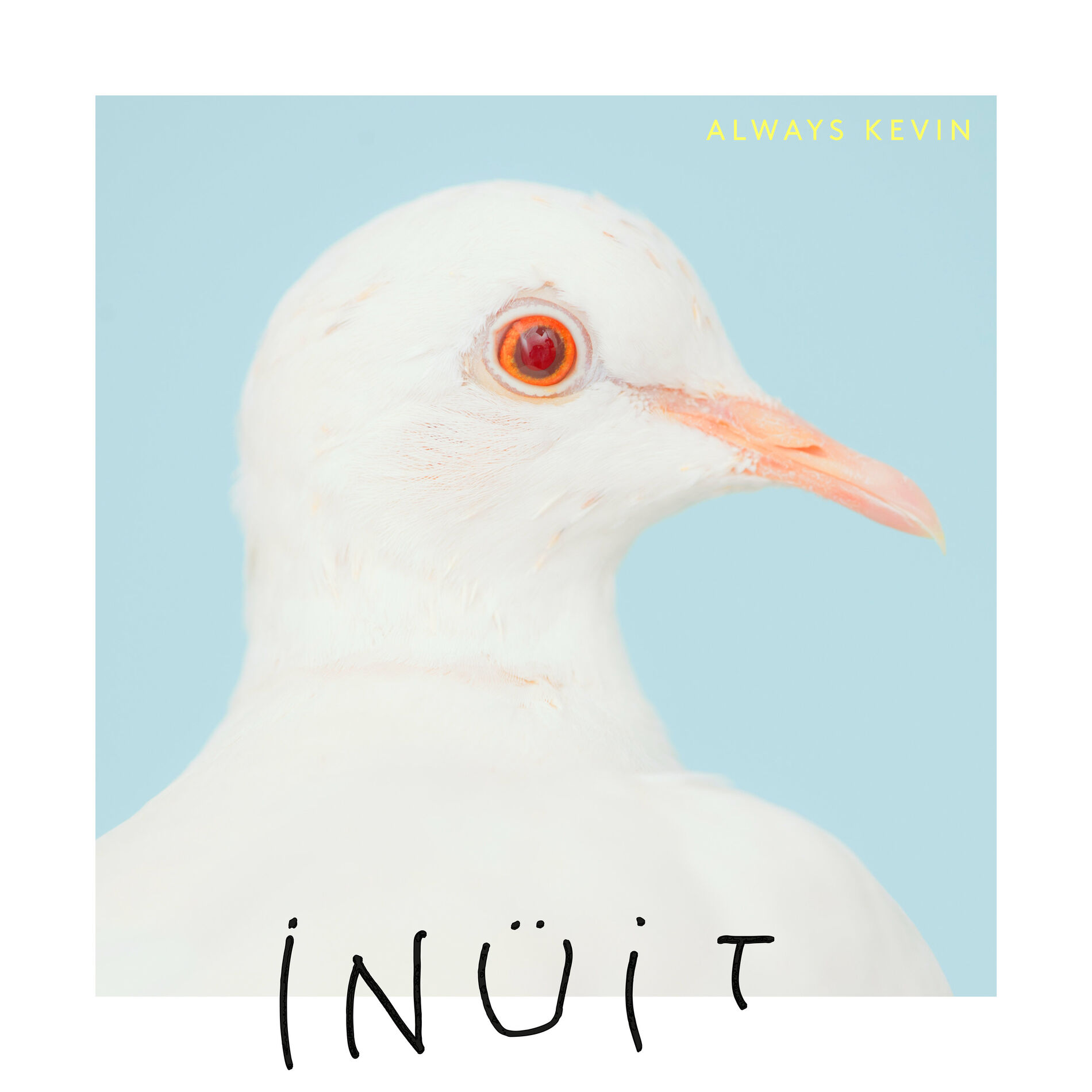 Album cover of Hush