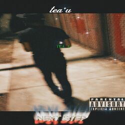 Cover of Next Step