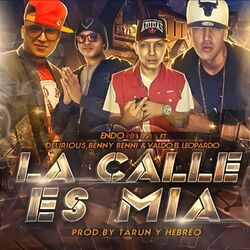 Cover of La Calle es Mia