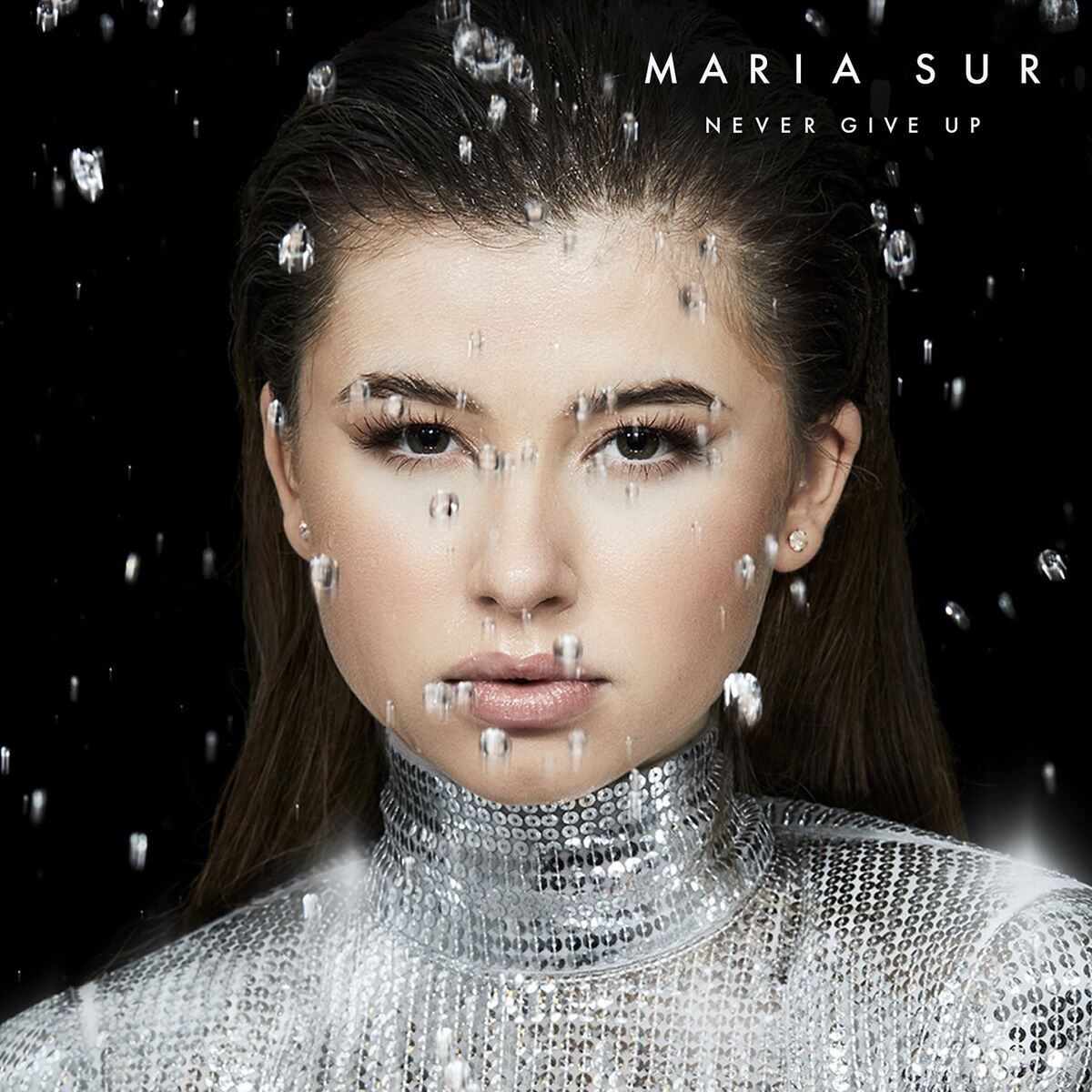 Album cover of Never Give Up