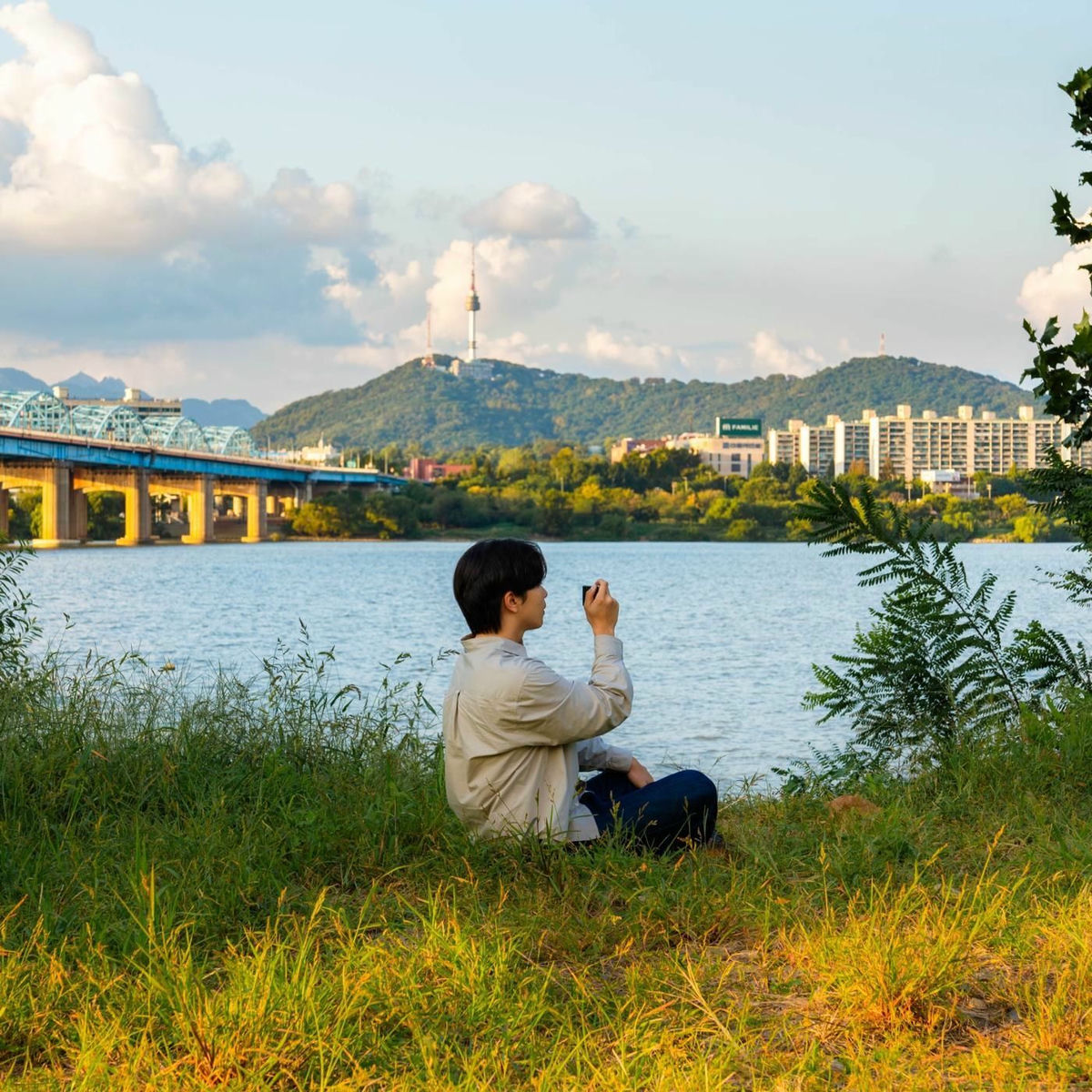 Album cover of Down the light