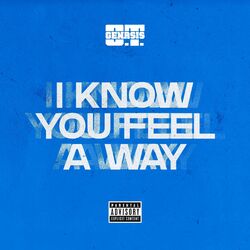 Cover of I Know You Feel A Way