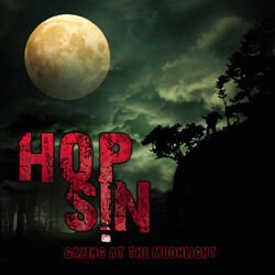 Cover of Gazing at the Moonlight