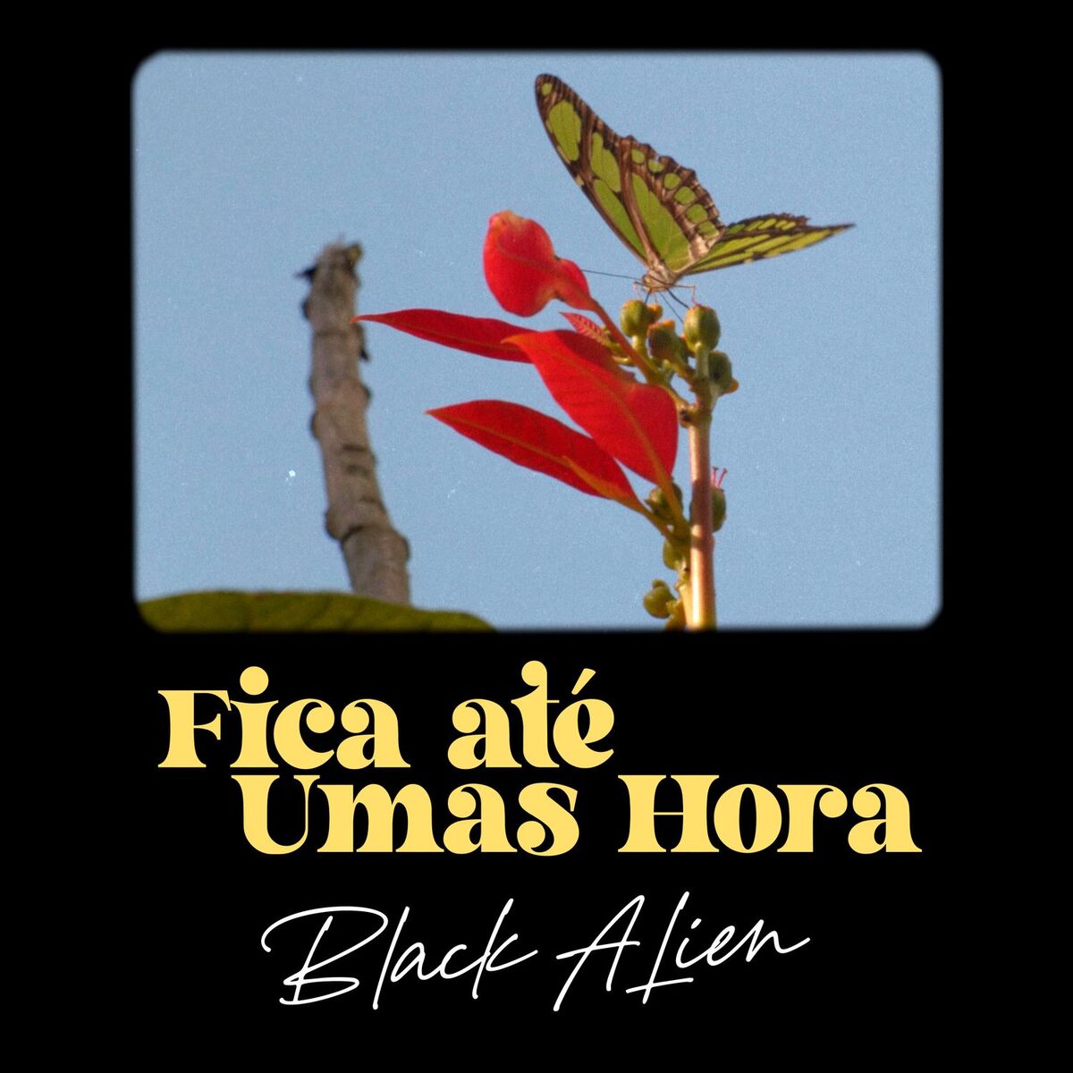 Album cover of Fica Até Umas Hora
