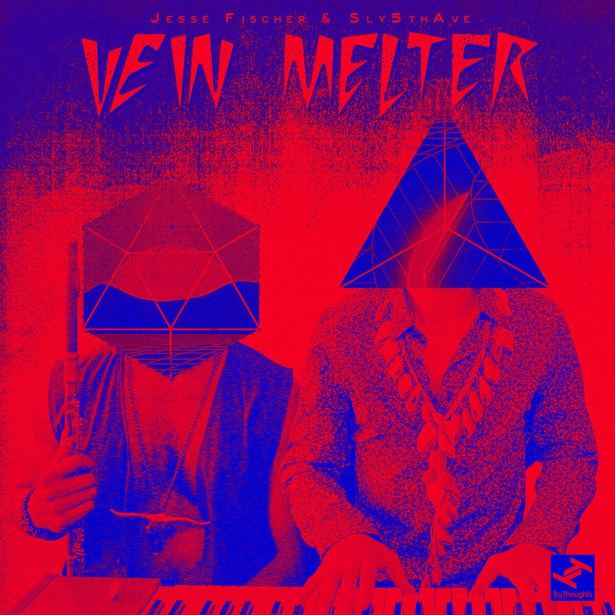 Album cover of Vein Melter