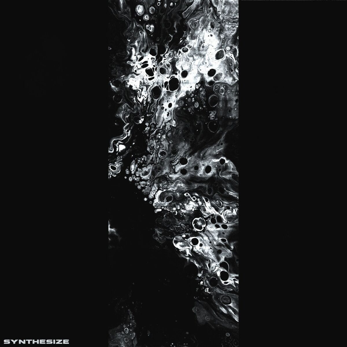 Album cover of SYNTHESIZE