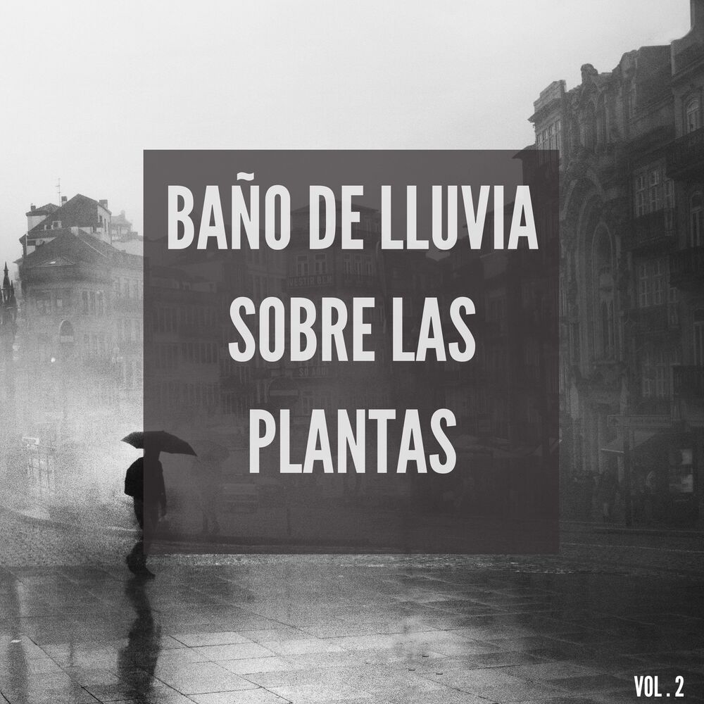 Picture of Baño de lluvia sobre las plantas Vol.2