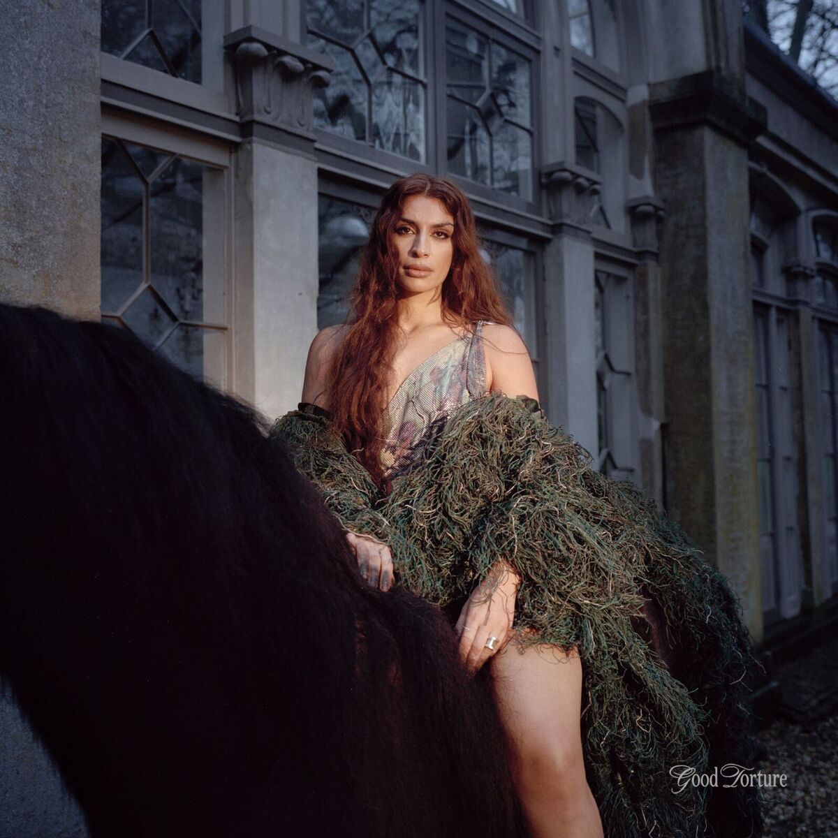 Album cover of Good Torture