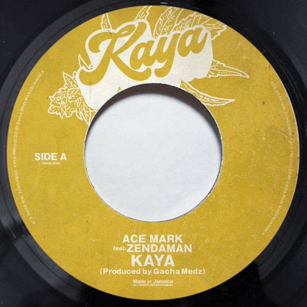 Picture of KAYA (feat. ZendaMan)
