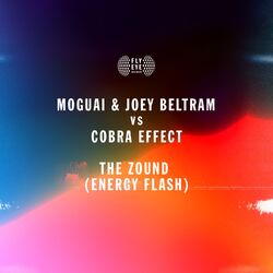 Cover of The Zound (Energy Flash)