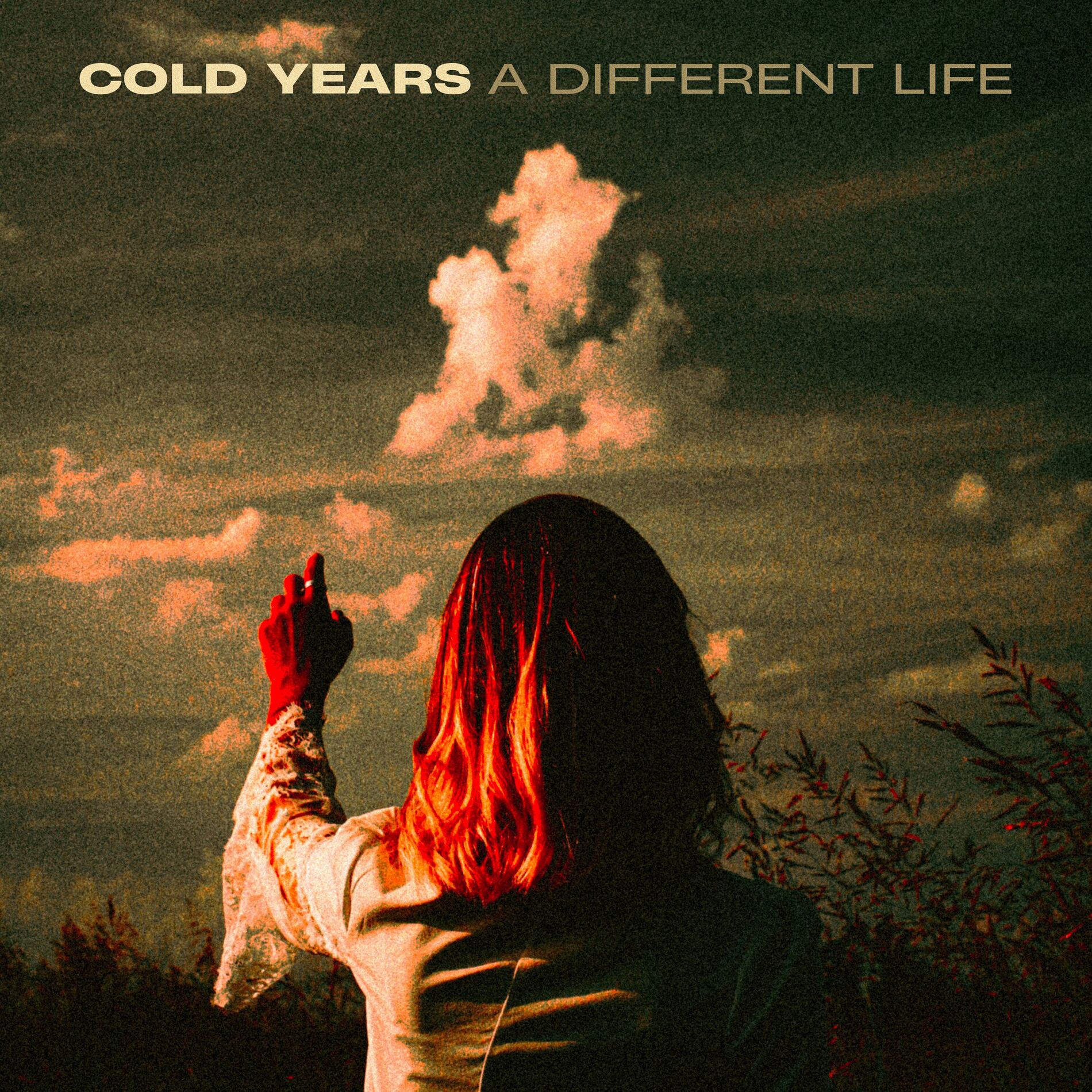 Album cover of A Different Life