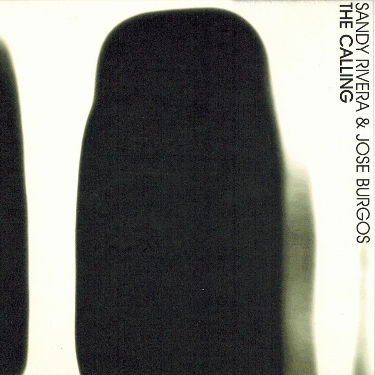 Album cover of The Calling