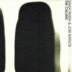 Cover of The Calling