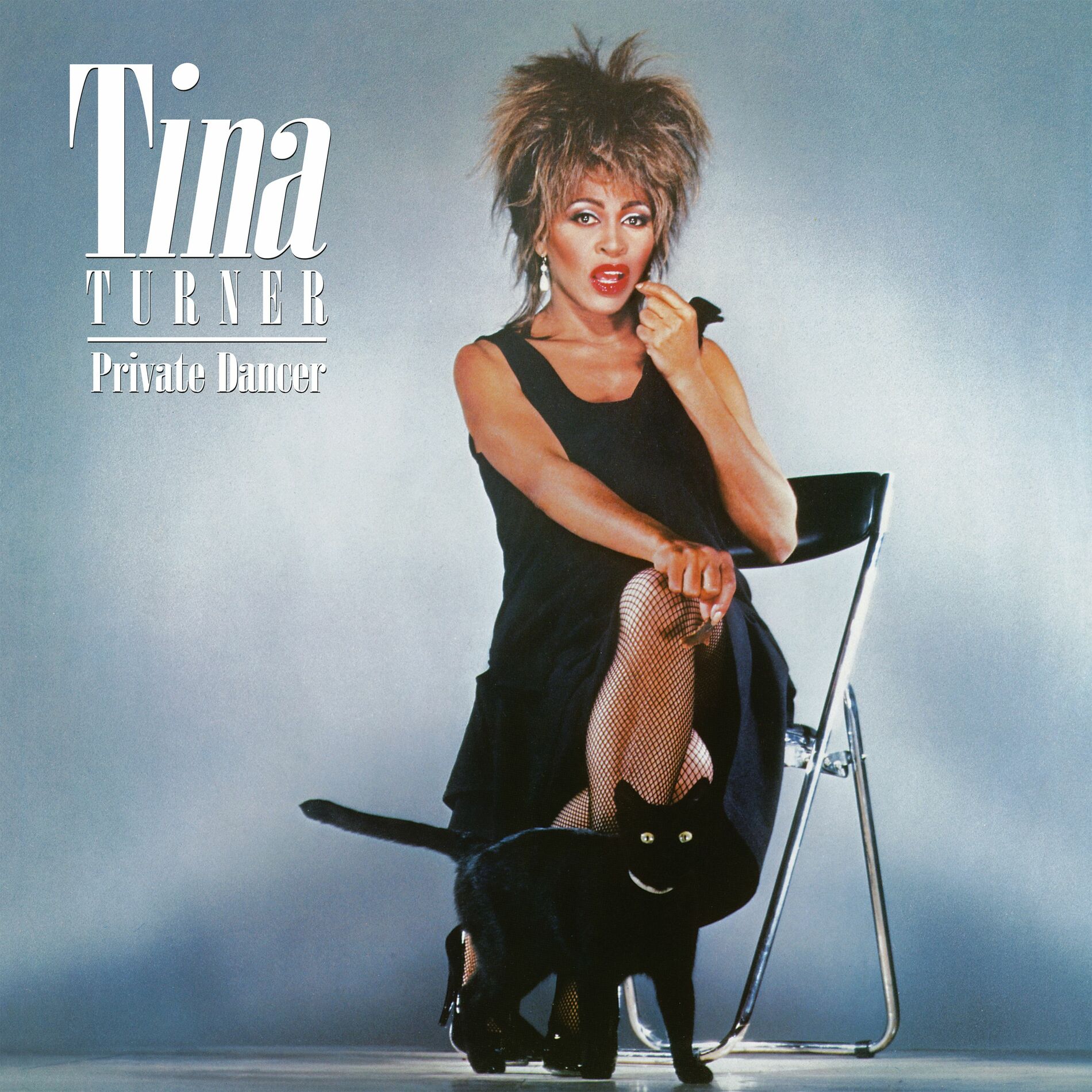 Album cover of Private Dancer (40th Anniversary Edition)