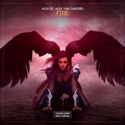 Cover of Fire