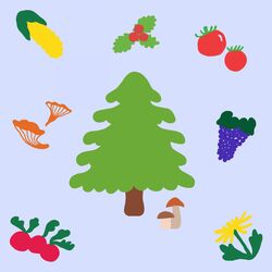 Cover of march (norway spruce)