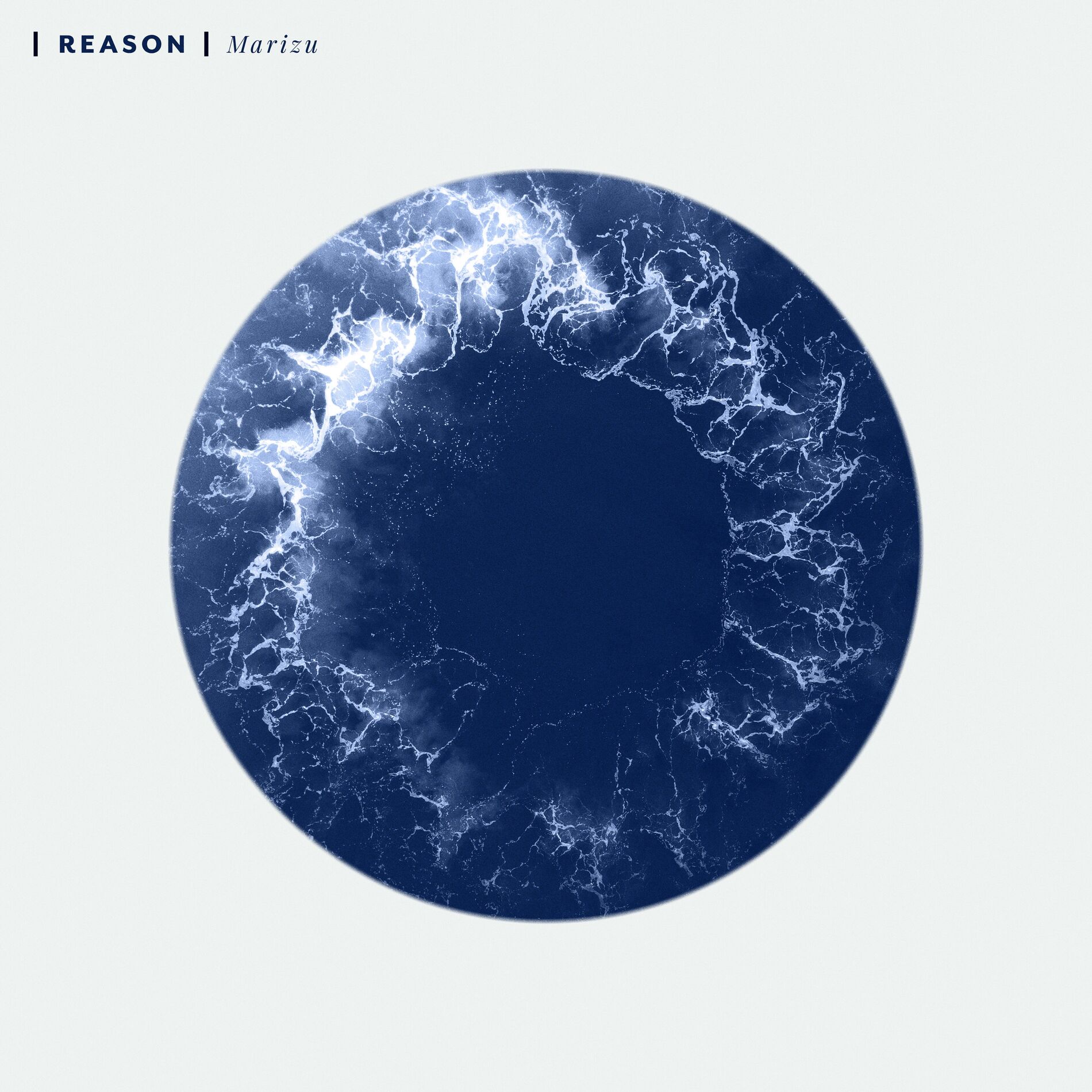 Album cover of Reason