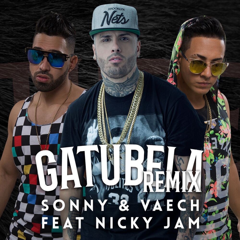 Picture of Gatubela (Remix)