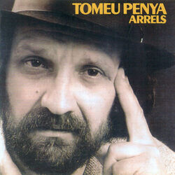 Cover of Arrels
