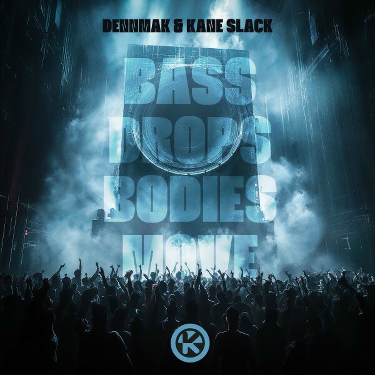 Album cover of Bass Drops Bodies Move