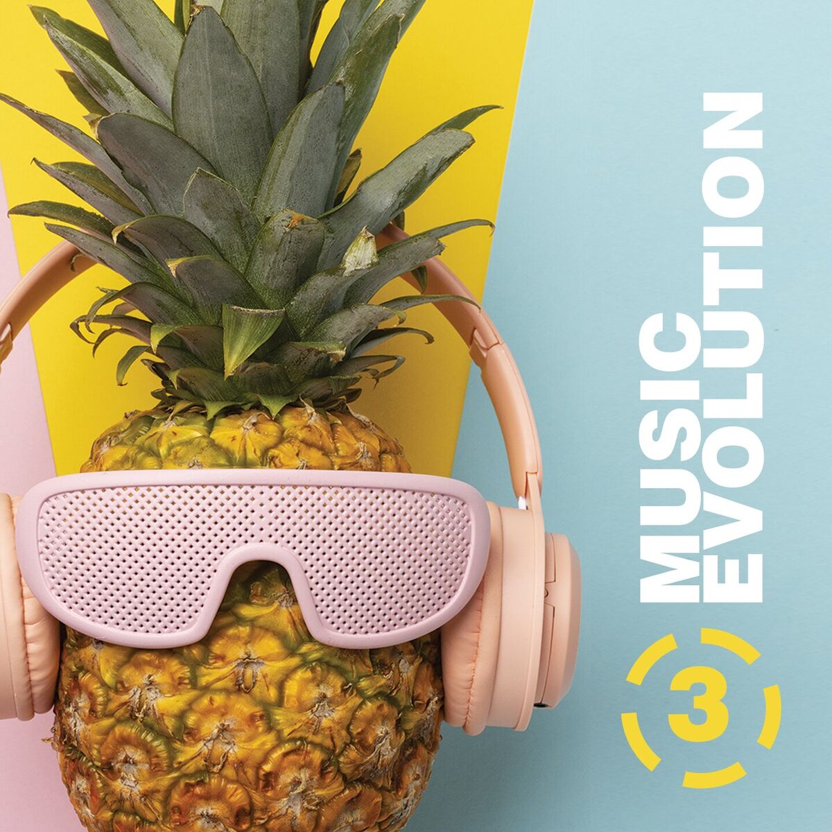 Album cover of Music evolution 3