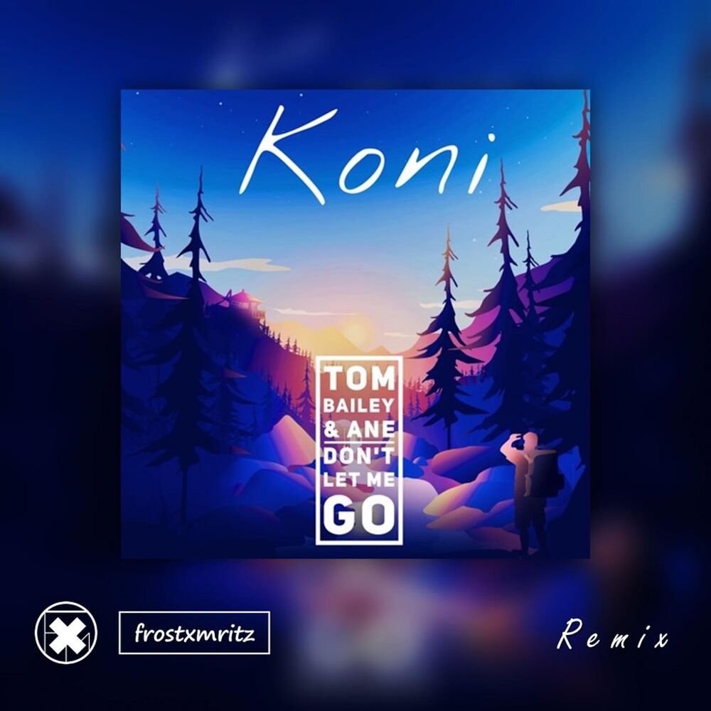Picture of Don't Let Me Go (Frost-X-Mritz Remix)