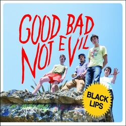 Cover of Good Bad Not Evil
