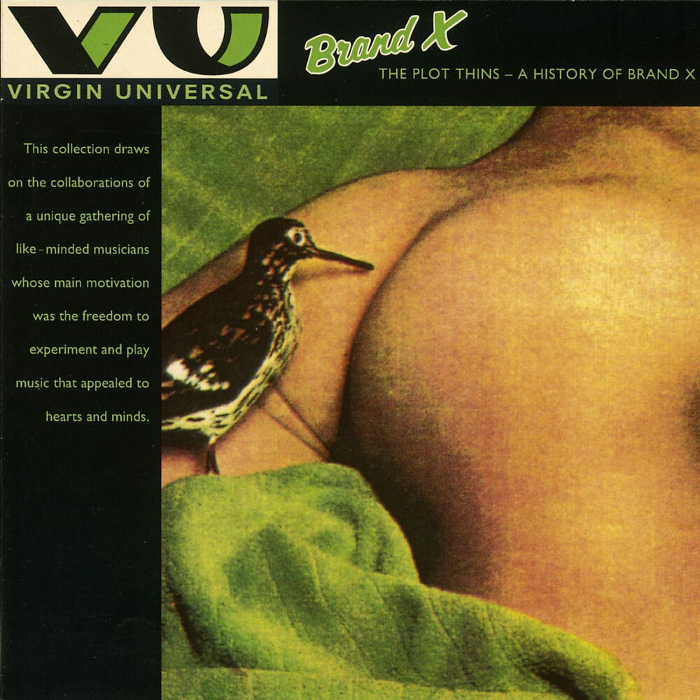 Picture of The Plot Thins - A History Of Brand X