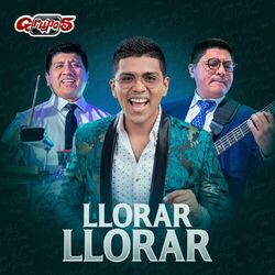 Cover of Llorar Llorar