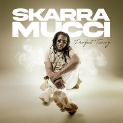 Cover of Perfect Timing