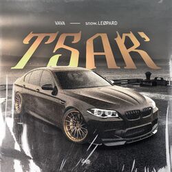 Cover of TSAR'