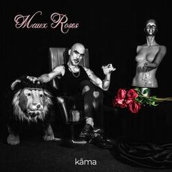 Cover of Maux roses