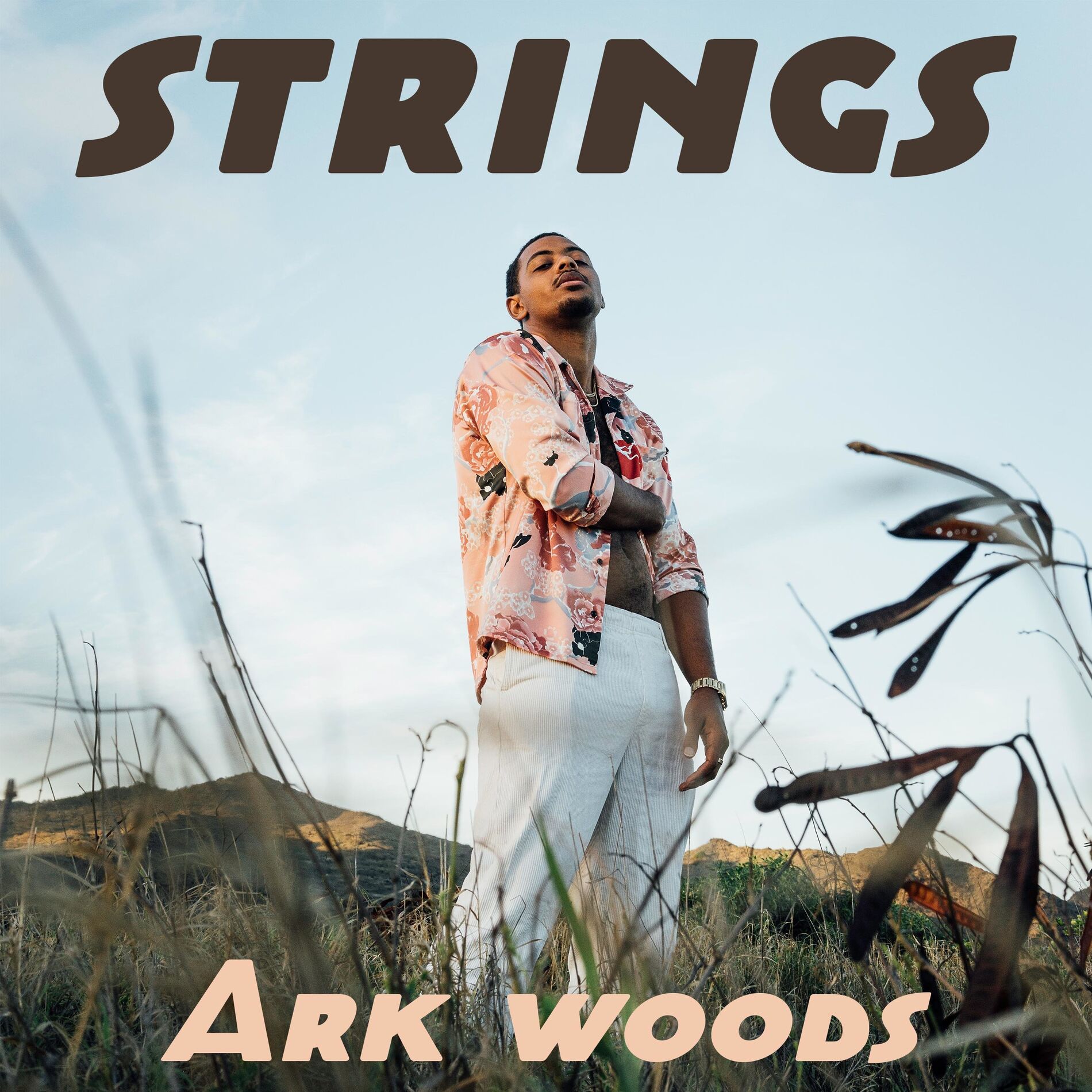 Album cover of Strings