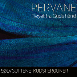 Cover of Pervane - Fløyet fra Guds hånd