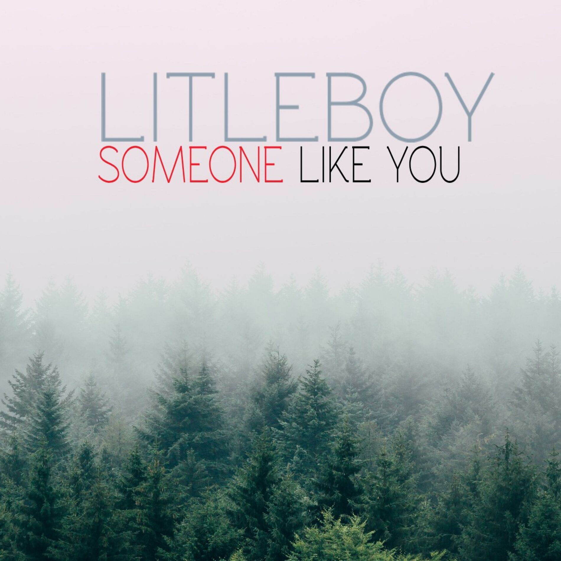 Album cover of Someone Like You