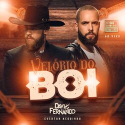 Cover of Velório do Boi (Estúdio Showlivre Sertanejo) (Ao Vivo)