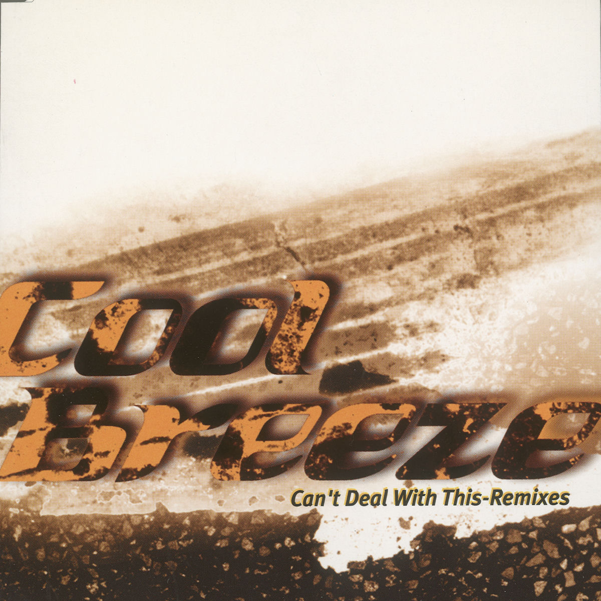 Album cover of Can't Deal With This