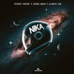 Cover of NiKA