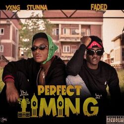 Cover of Perfect Timing