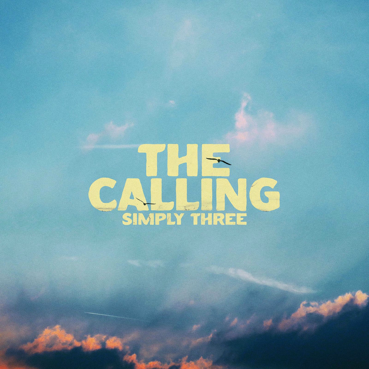 Album cover of The Calling