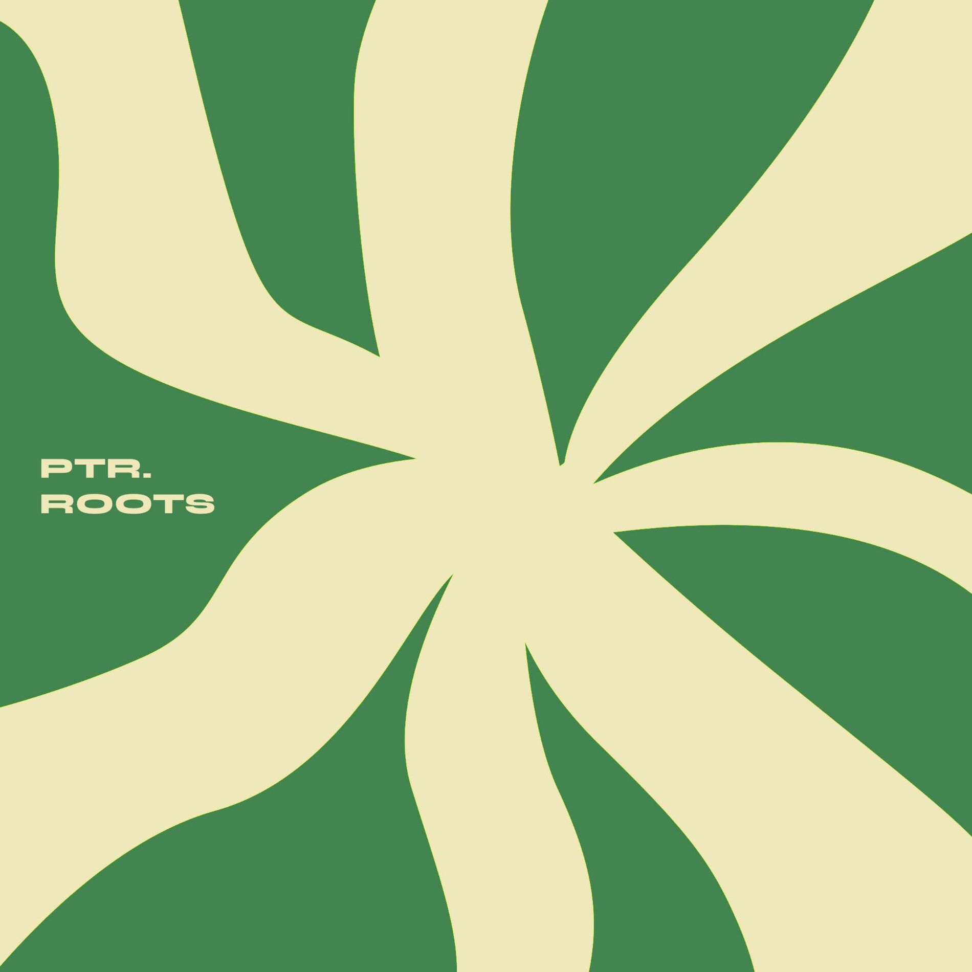 Album cover of Roots