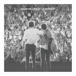 Cover of Souchon Voulzy - Le concert (Live au Zénith de Paris 2015)