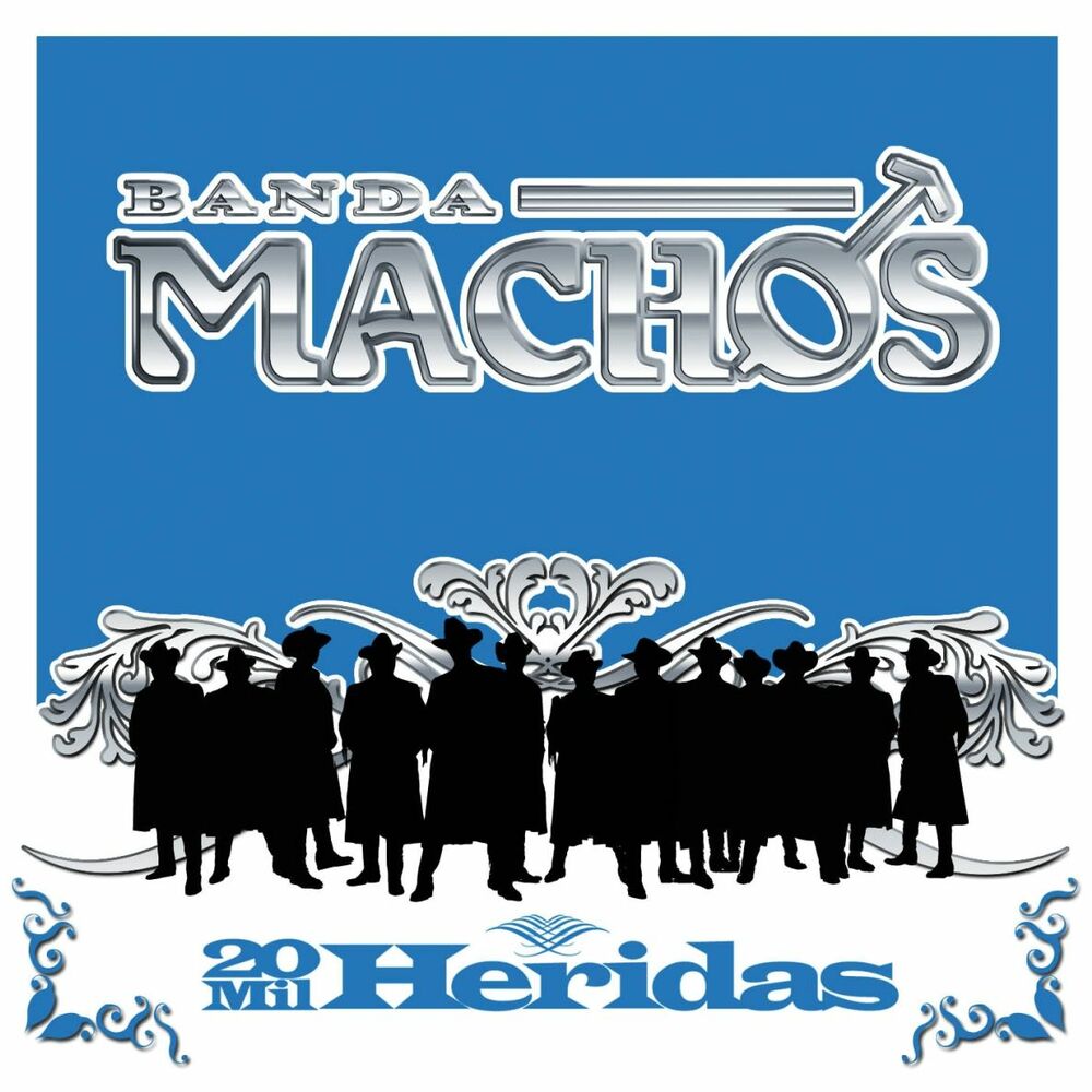 Picture of 20 Mil Heridas